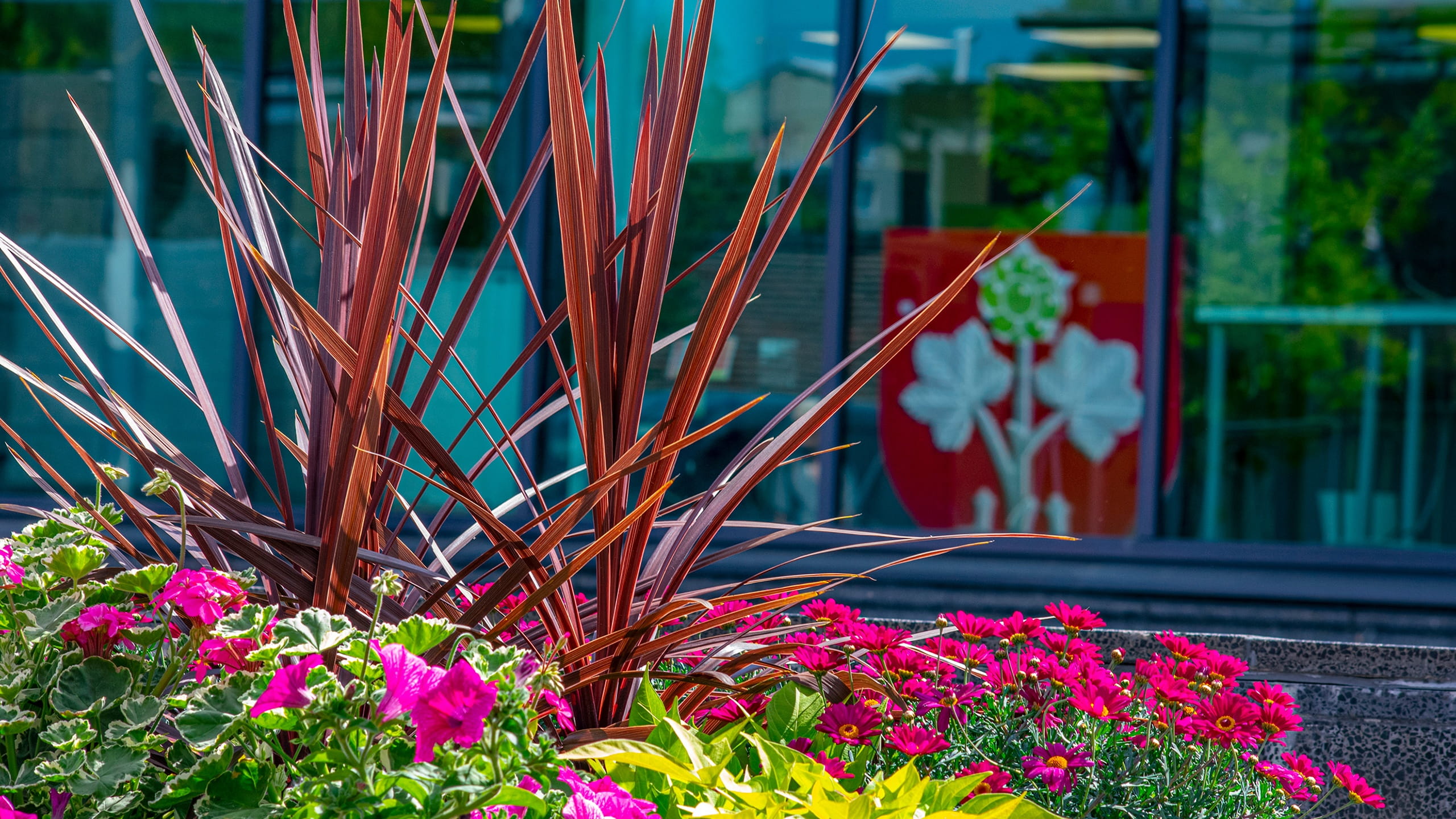 Muuramen kunta referenssitarina kuva tuotesivulla