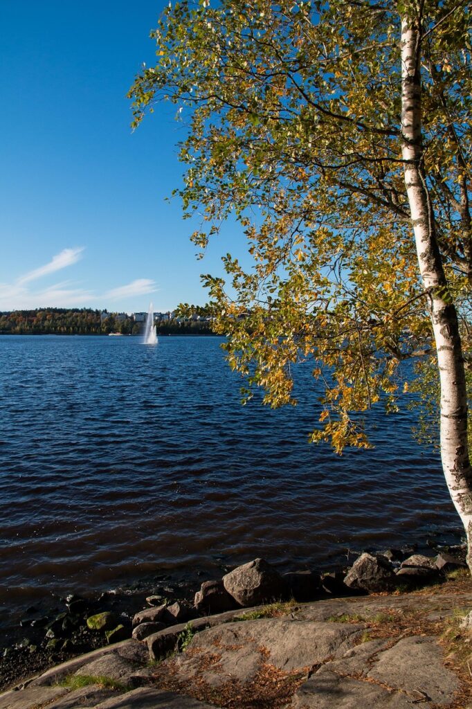 Keksisuomalainen IT-tuki