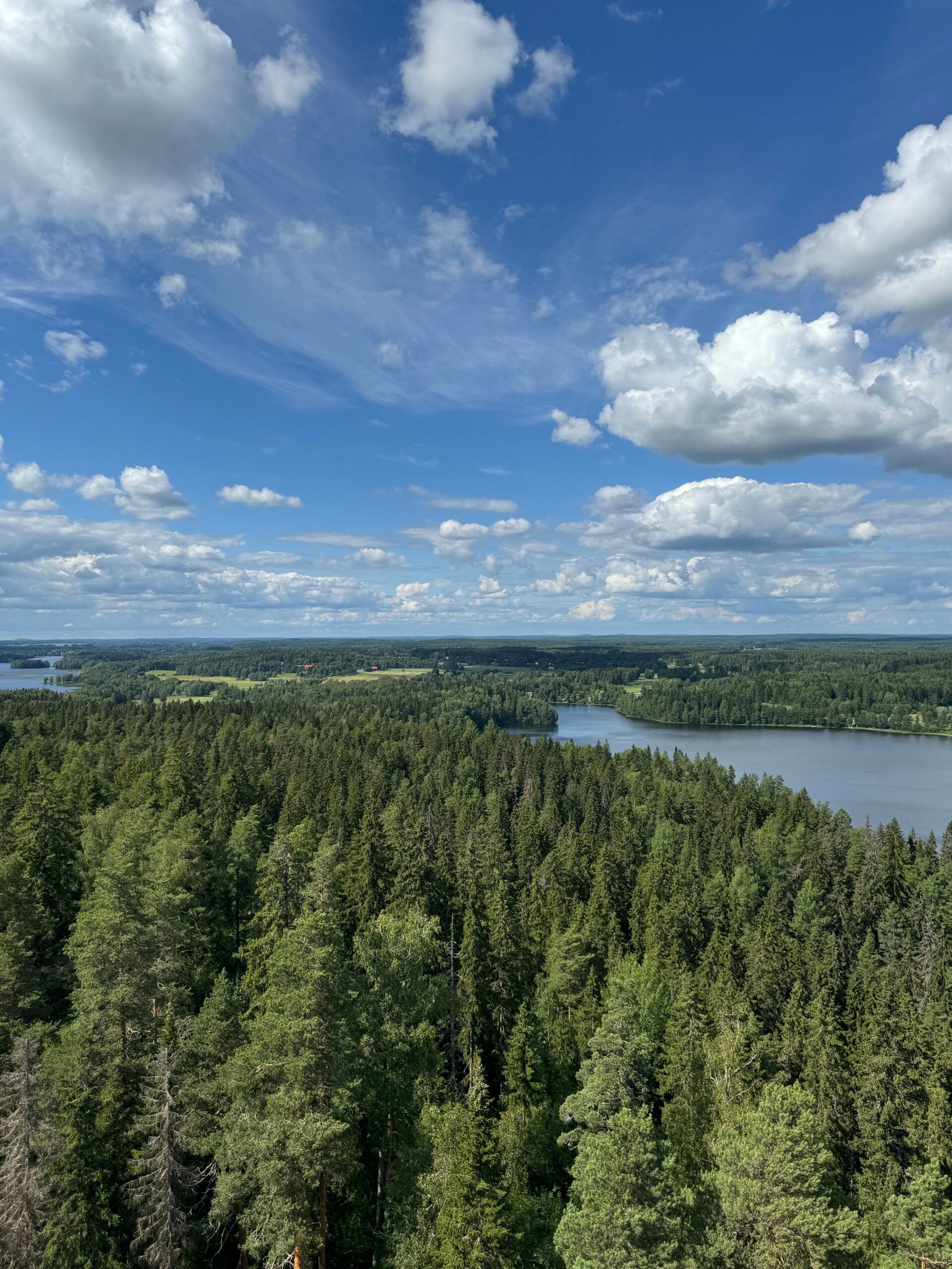 Keskisuomalainen IT-tuki